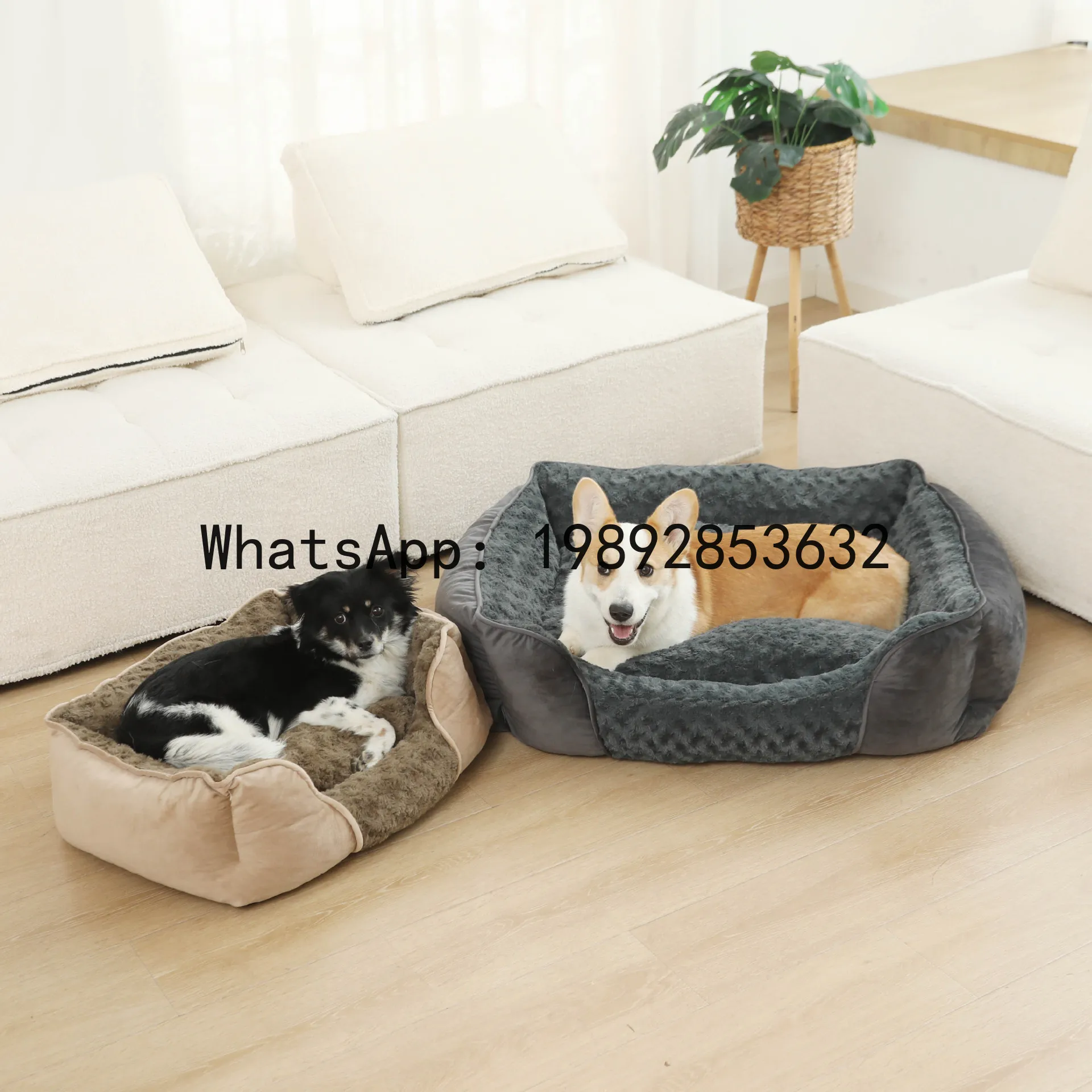 Pet X Supplies & Tack Grooming - Casa para gatos X, canil semi-fechado