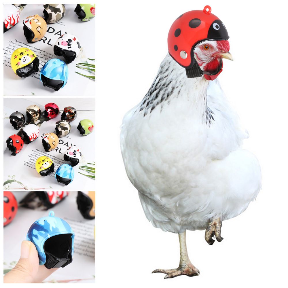 Pet X Supplies & Tack Grooming - Capacete Protetor Engraçado para Animais de