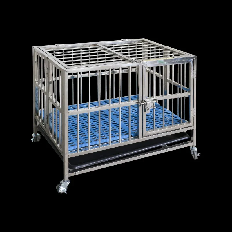 Pet Supplies In Store - Fornecimento de fábrica de vários tamanhos,