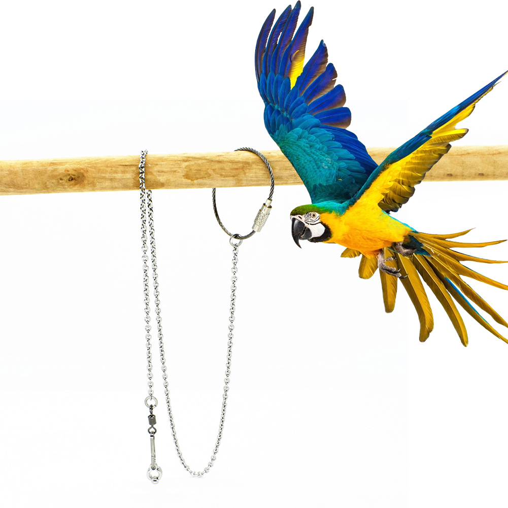 Pet Supplies Ringwood - 1 pçs animal de estimação papagaio