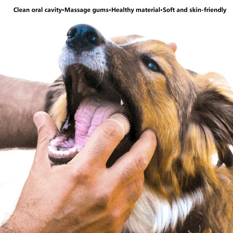 3 pçs limpeza dental dentes do - Dog Muzzle Silicone avaliação e preço