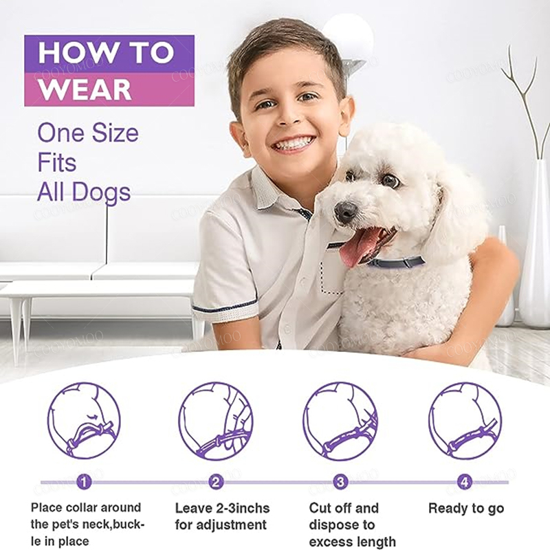1/2 pc cão calmante feromônio  - Dog Muzzle Silicone avaliação e preço