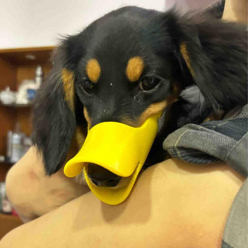 Focinheira de Silicone em Form - Dog Muzzle Silicone avaliação e preço