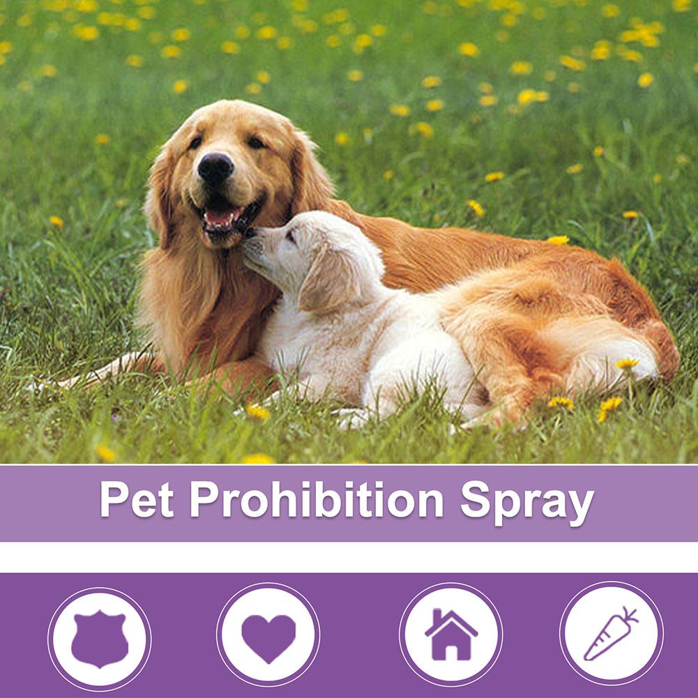 Spray Calmante para Animais de - Pet Supplies App avaliação e preço