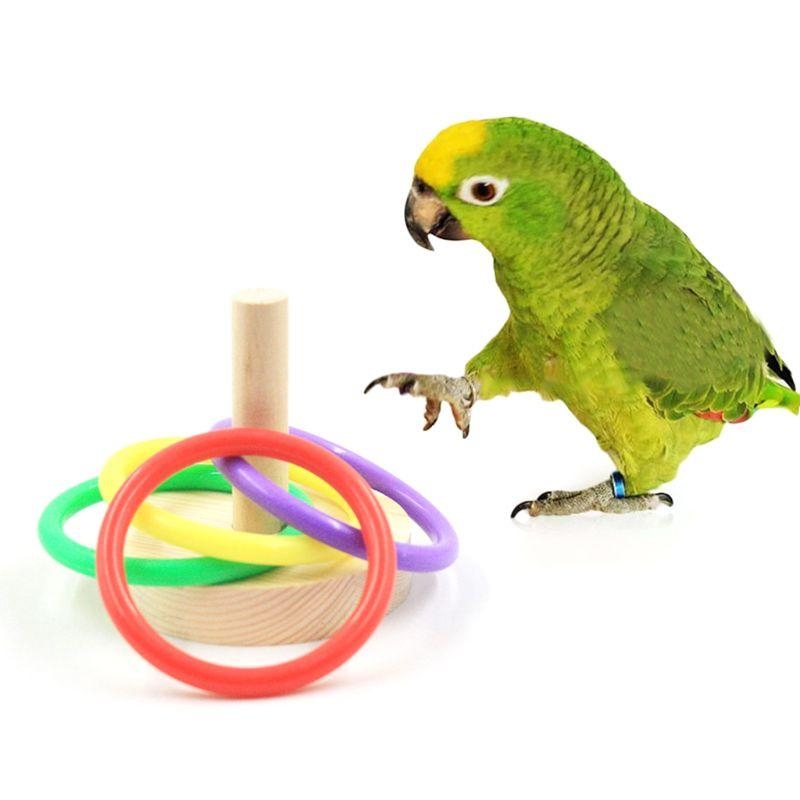 Pássaro papagaio plataforma an - Pet Supplies Ringwood avaliação e preço