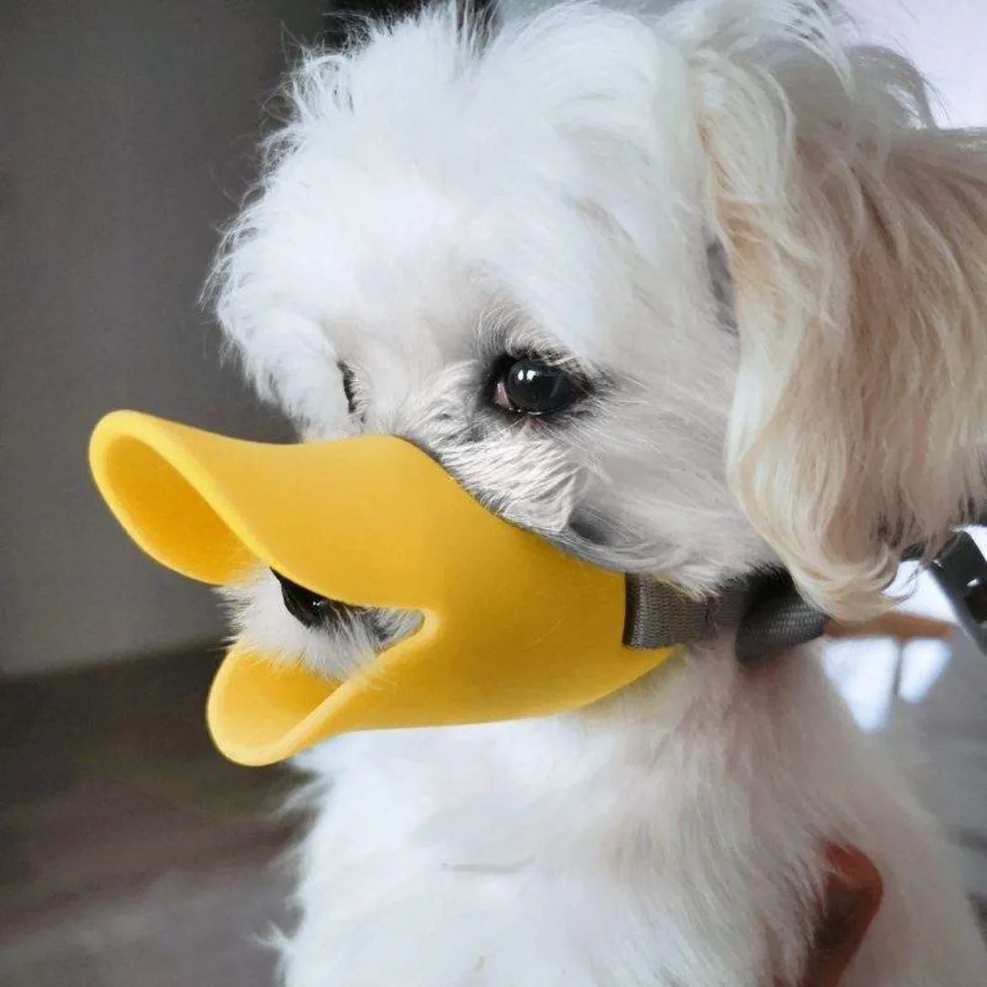 Silicone Duck Focinho para Pet - Dog Muzzle Silicone avaliação e preço