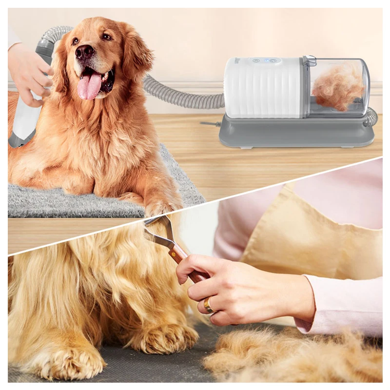 Conjunto de escovas para banho - Pet Supplies In Store avaliação e preço