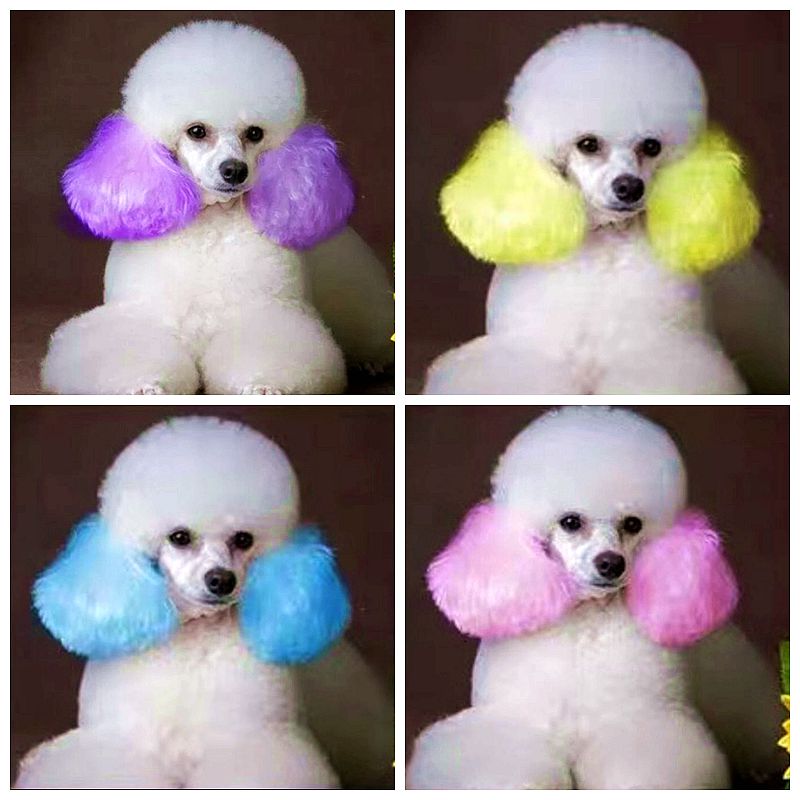 Semi Permanente Pet Dye Cream, - Pet Supplies App avaliação e preço