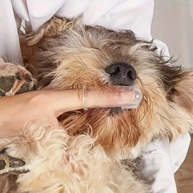 5 escovas de dentes para anima - Dog Muzzle Silicone avaliação e preço
