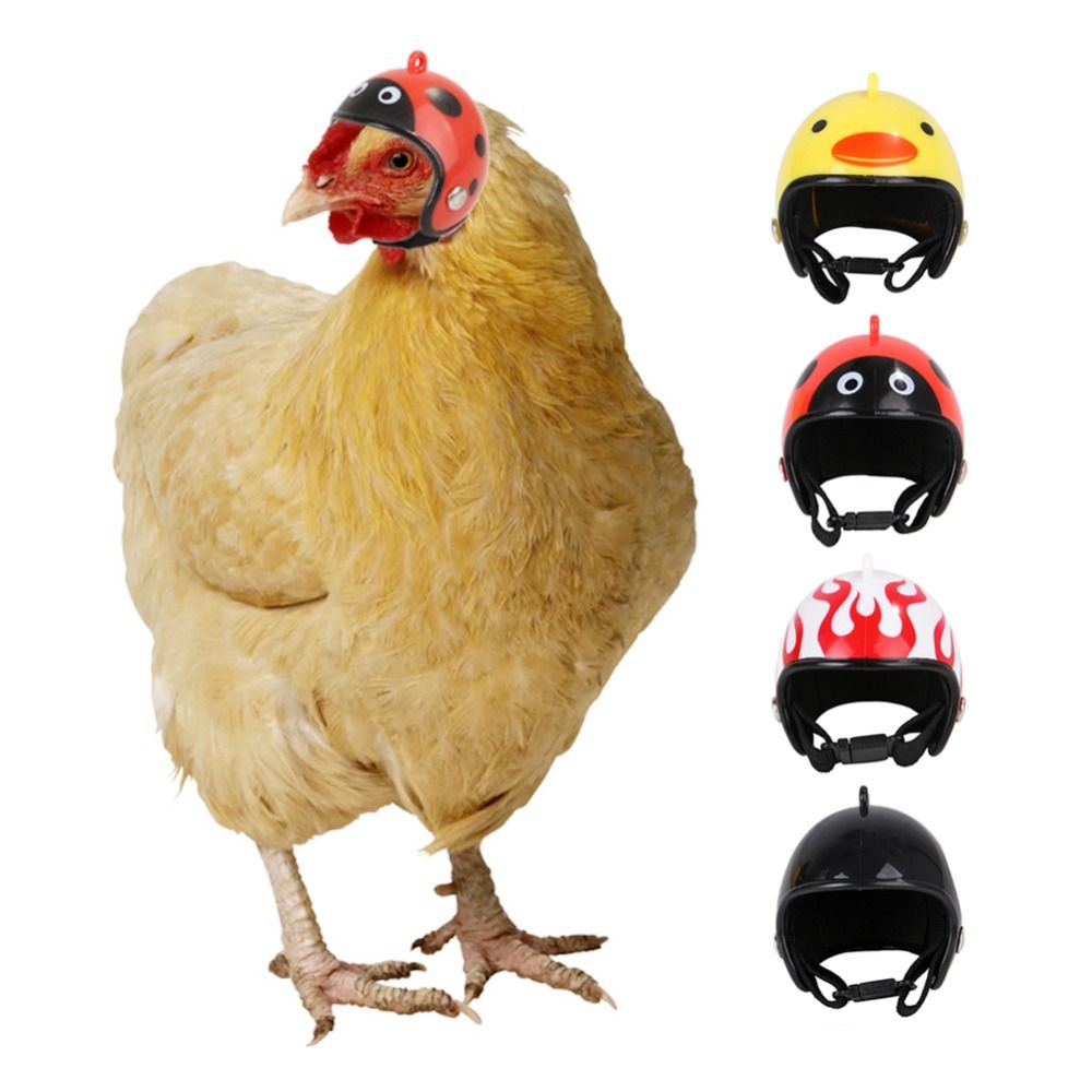 Capacete Protetor Divertido pa - Pet X Supplies & Tack Grooming avaliação e preço