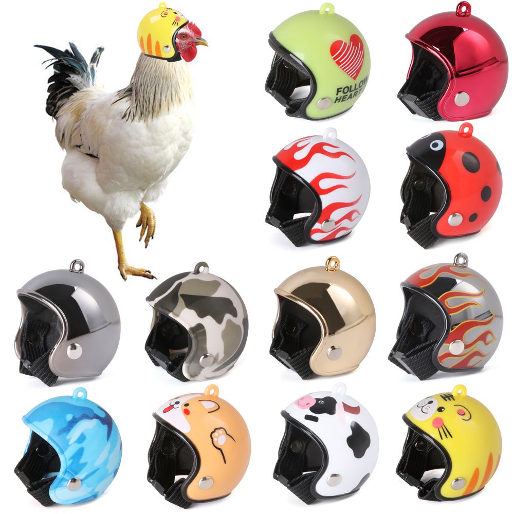 Capacete Protetor Divertido pa - Pet X Supplies & Tack Grooming avaliação e preço