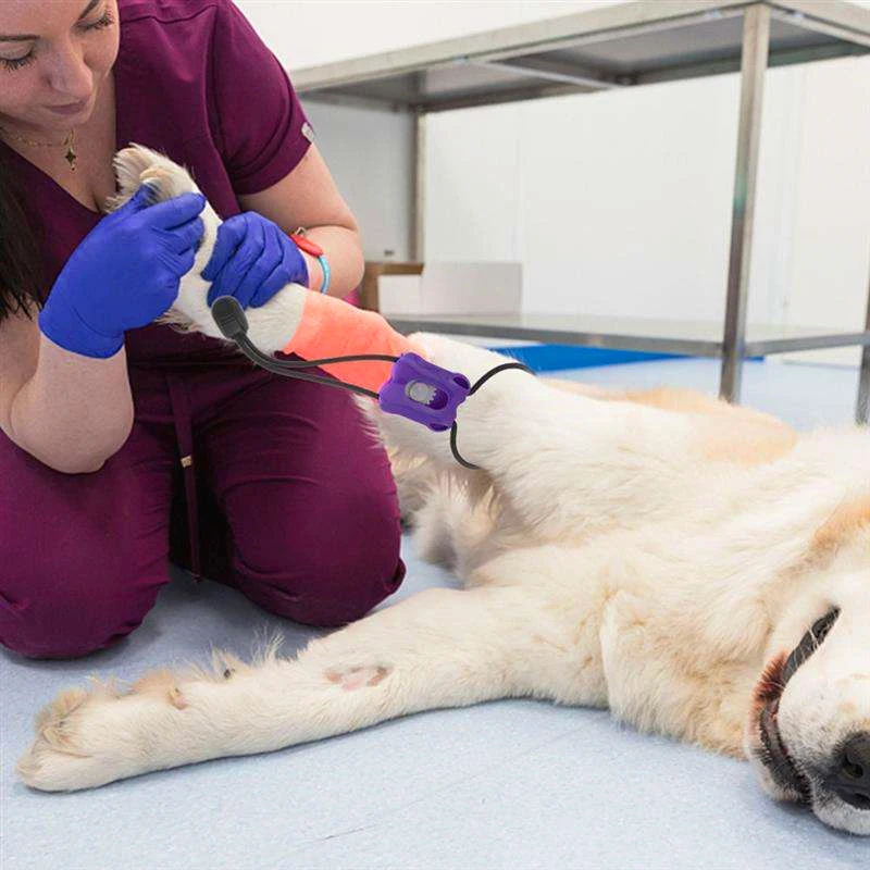 2026 Torniquete Veterinário de - Pet Supplies App avaliação e preço