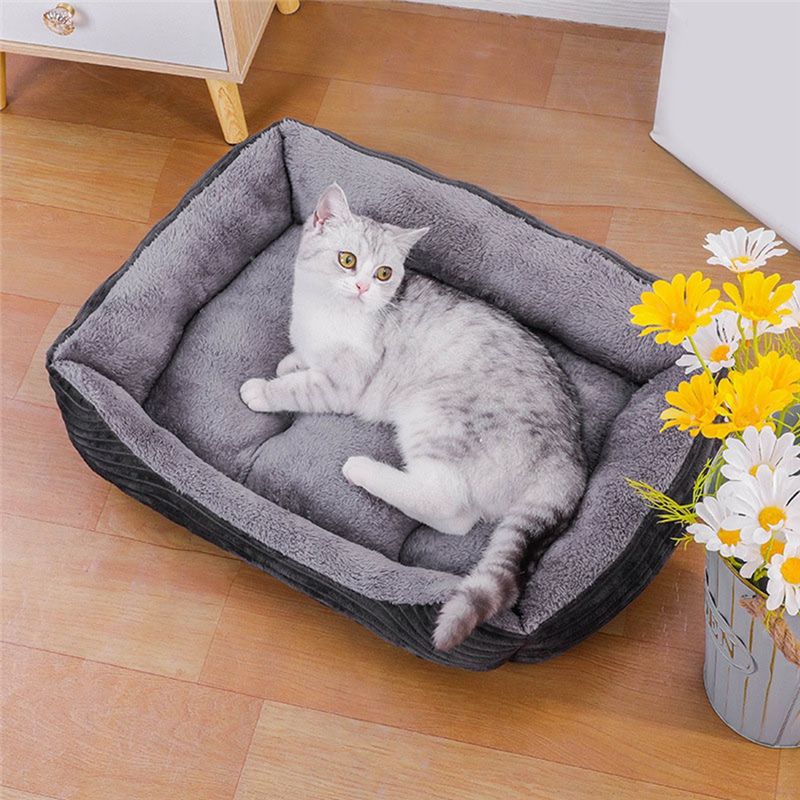 Cama para Cães AEA9 Cinza, Col - Pet X Supplies & Tack Grooming avaliação e preço
